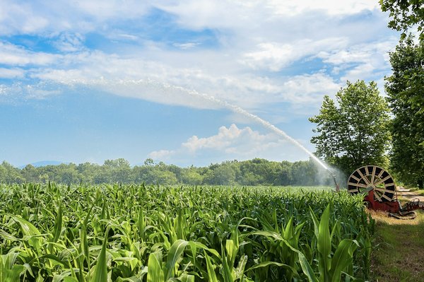 Quelles sont les étapes pour installer un système d'arrosage automatique?