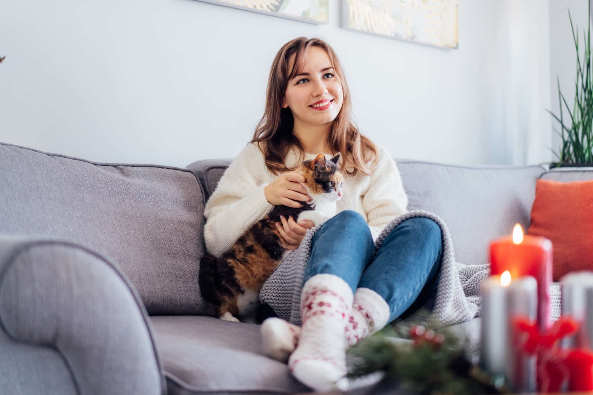 Comment choisir les chaussettes pour son chat?