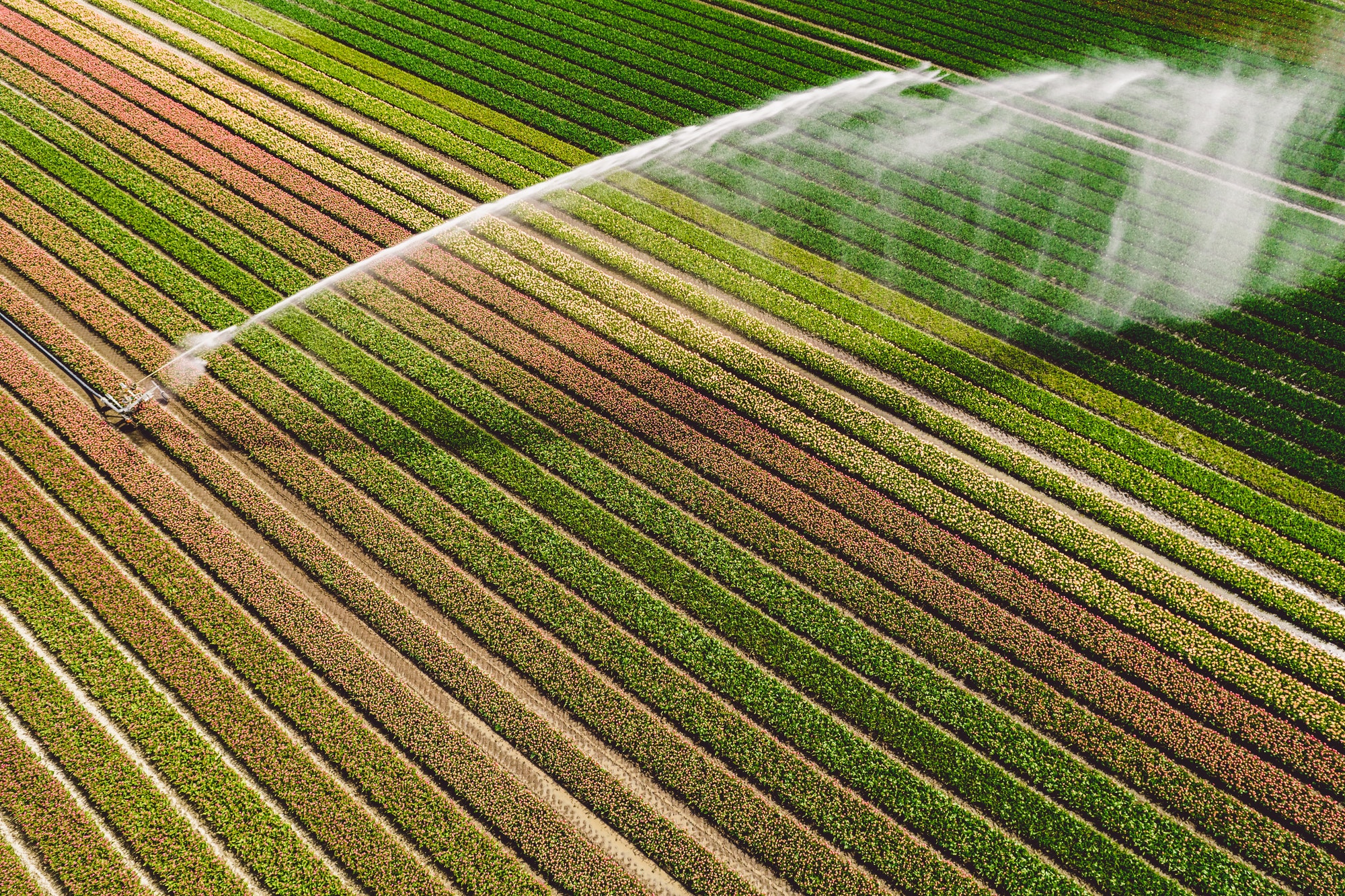 Quelle est la meilleure façon de concevoir un système d’irrigation goutte à goutte pour un jardin urbain ?